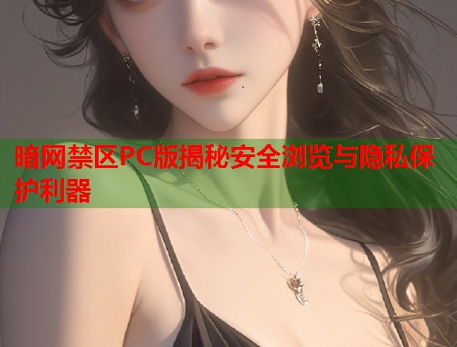 暗网禁区PC版揭秘安全浏览与隐私保护利器