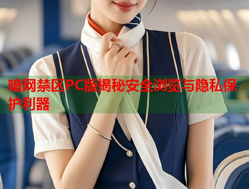 暗网禁区PC版揭秘安全浏览与隐私保护利器