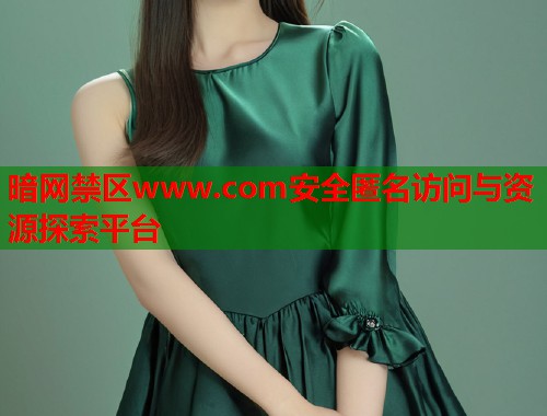 暗网禁区www.com安全匿名访问与资源探索平台