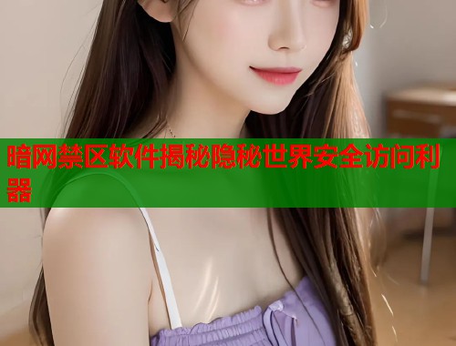 暗网禁区软件揭秘隐秘世界安全访问利器