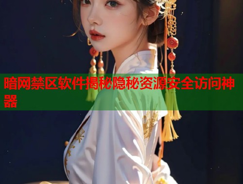 暗网禁区软件揭秘隐秘资源安全访问神器