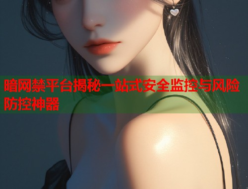 暗网禁平台揭秘一站式安全监控与风险防控神器