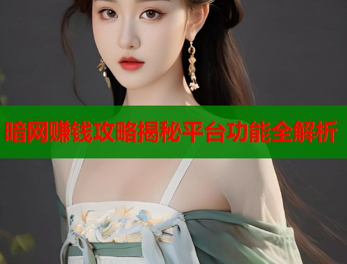 暗网赚钱攻略揭秘平台功能全解析
