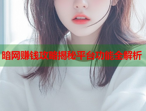 暗网赚钱攻略揭秘平台功能全解析