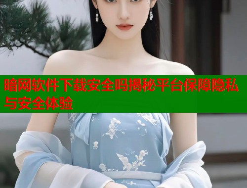 暗网软件下载安全吗揭秘平台保障隐私与安全体验
