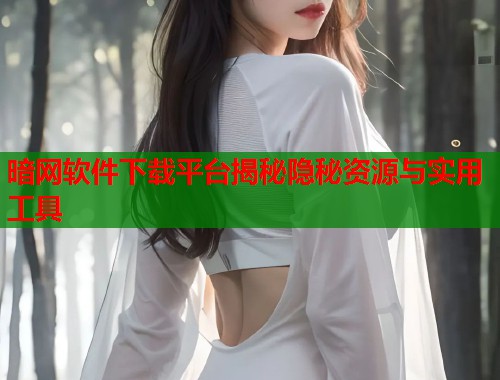 暗网软件下载平台揭秘隐秘资源与实用工具