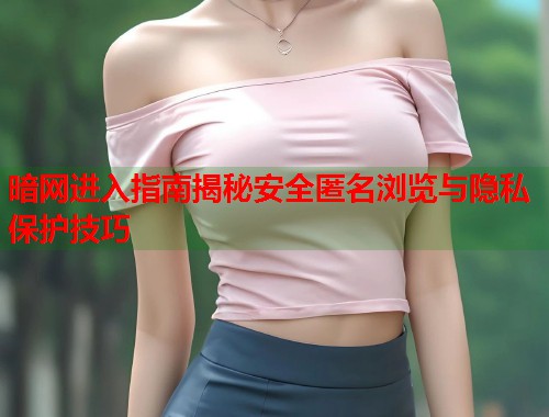 暗网进入指南揭秘安全匿名浏览与隐私保护技巧