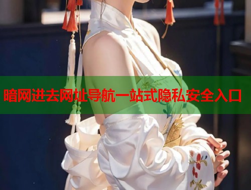 暗网进去网址导航一站式隐私安全入口
