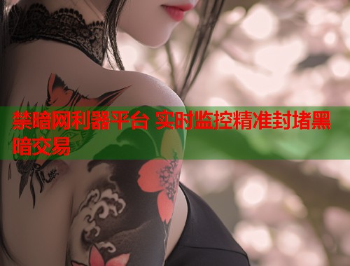 禁暗网利器平台 实时监控精准封堵黑暗交易