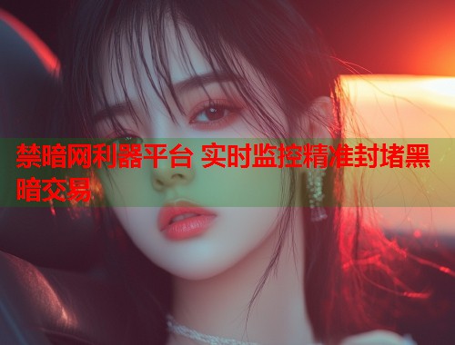 禁暗网利器平台 实时监控精准封堵黑暗交易