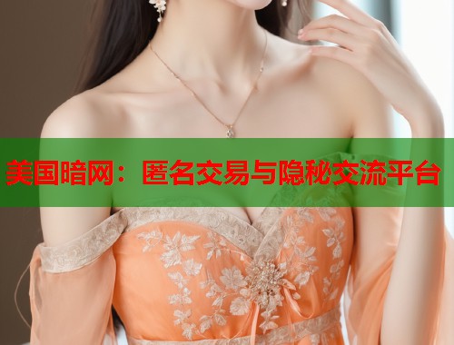 美国暗网：匿名交易与隐秘交流平台