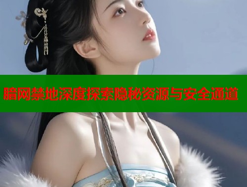 腤网禁地深度探索隐秘资源与安全通道