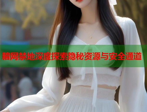 腤网禁地深度探索隐秘资源与安全通道