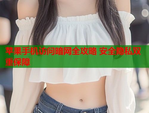 苹果手机访问暗网全攻略 安全隐私双重保障