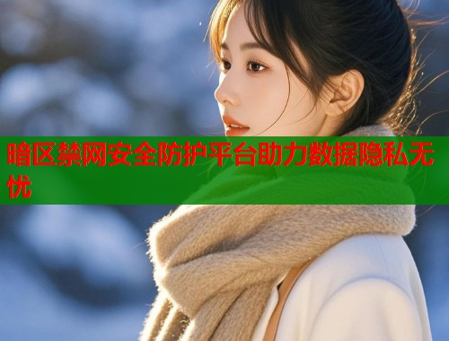 暗区禁网安全防护平台助力数据隐私无忧