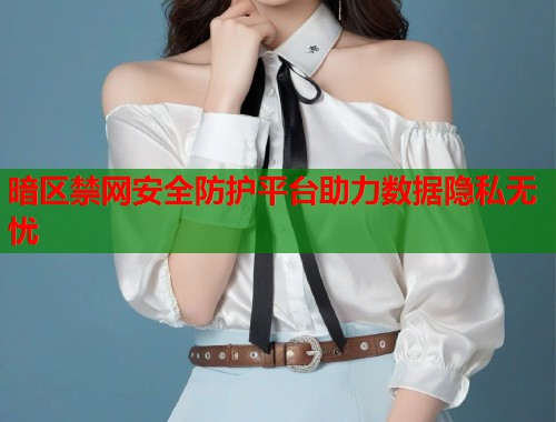 暗区禁网安全防护平台助力数据隐私无忧