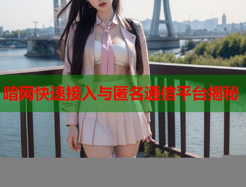 暗网快速接入与匿名通信平台揭秘
