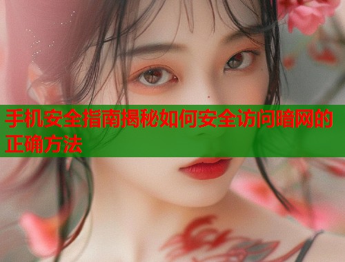 手机安全指南揭秘如何安全访问暗网的正确方法