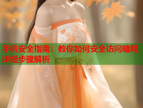 手机安全指南：教你如何安全访问暗网详细步骤解析