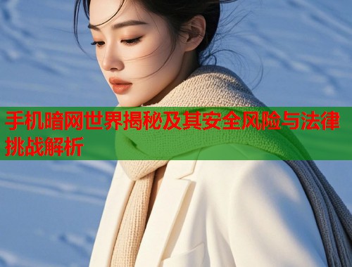 手机暗网世界揭秘及其安全风险与法律挑战解析