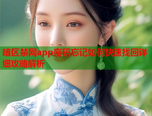 暗区禁网app密码忘记如何快速找回详细攻略解析