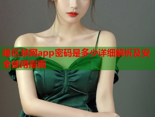 暗区禁网app密码是多少详细解析及安全使用指南