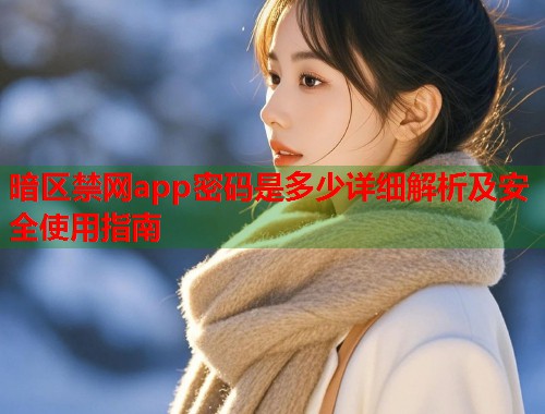 暗区禁网app密码是多少详细解析及安全使用指南
