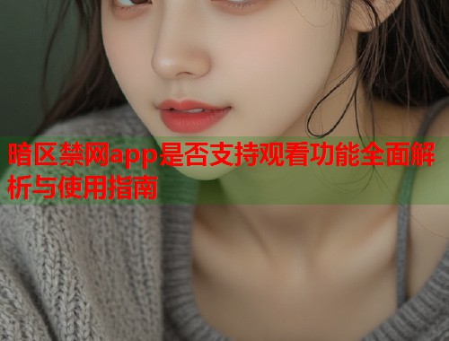 暗区禁网app是否支持观看功能全面解析与使用指南
