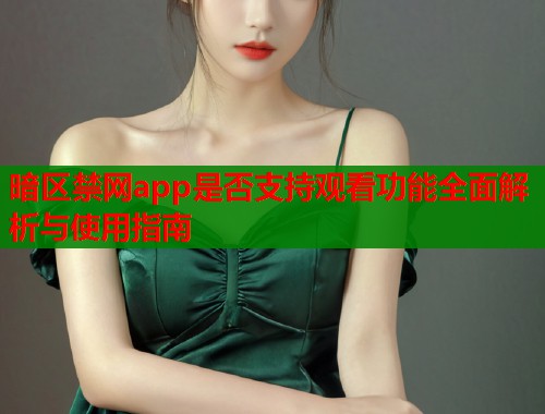 暗区禁网app是否支持观看功能全面解析与使用指南