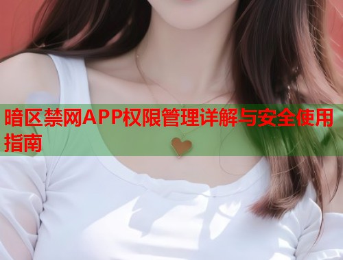 暗区禁网APP权限管理详解与安全使用指南