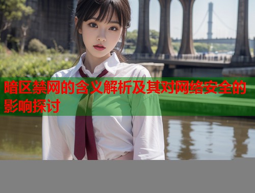 暗区禁网的含义解析及其对网络安全的影响探讨