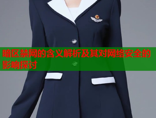 暗区禁网的含义解析及其对网络安全的影响探讨