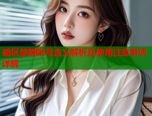 暗区禁网账号含义解析及使用注意事项详解