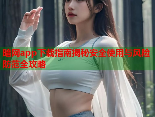 暗网app下载指南揭秘安全使用与风险防范全攻略