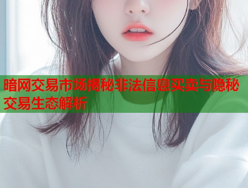 暗网交易市场揭秘非法信息买卖与隐秘交易生态解析