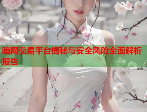 暗网交易平台揭秘与安全风险全面解析报告