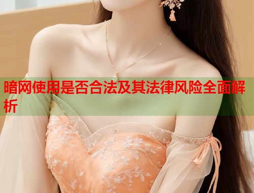 暗网使用是否合法及其法律风险全面解析