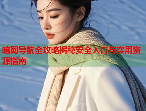 暗网导航全攻略揭秘安全入口与实用资源指南