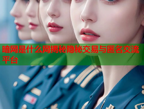 暗网是什么网揭秘隐秘交易与匿名交流平台