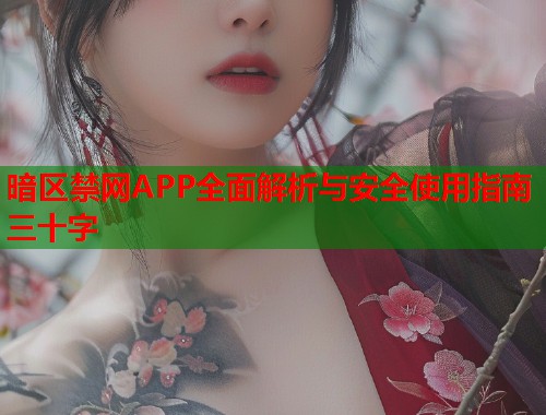 暗区禁网APP全面解析与安全使用指南三十字