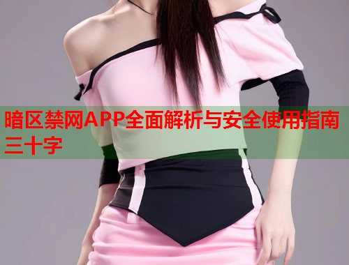 暗区禁网APP全面解析与安全使用指南三十字