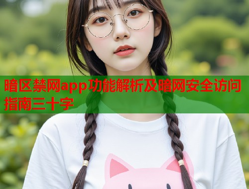 暗区禁网app功能解析及暗网安全访问指南三十字