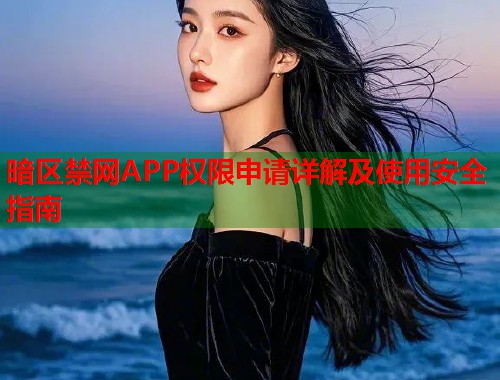 暗区禁网APP权限申请详解及使用安全指南