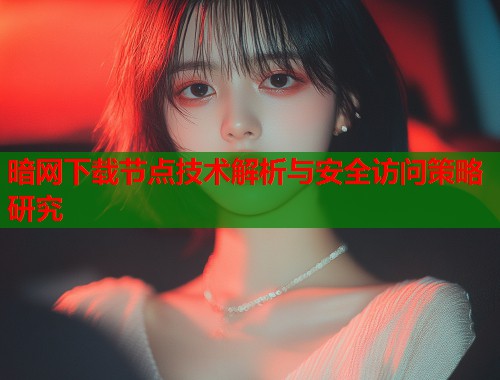 暗网下载节点技术解析与安全访问策略研究