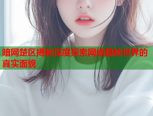 暗网楚区揭秘深度探索网络隐秘世界的真实面貌