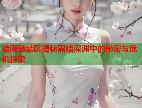 暗网楚禁区揭秘黑暗深渊中的秘密与危机探索