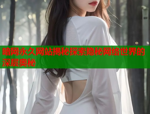 暗网永久网站揭秘探索隐秘网络世界的深层奥秘