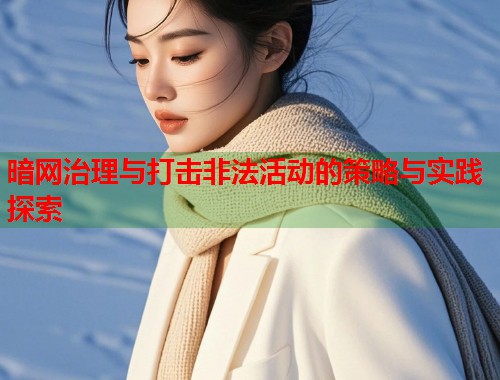 暗网治理与打击非法活动的策略与实践探索