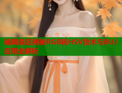 暗网禁区揭秘RGB转HSV技术与BUJ应用全解析