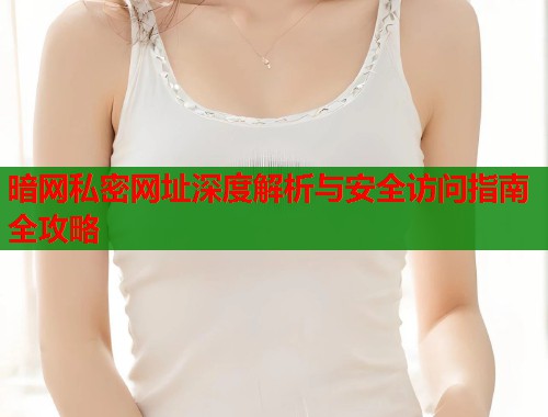 暗网私密网址深度解析与安全访问指南全攻略